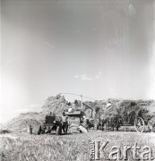 sierpień 1953, Dębno, Polska
Omłoty 
Fot. Irena Jarosińska, zbiory Ośrodka KARTA