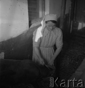 1953, Spółdzielnia Produkcyjna Dębno, okolice Łańcuta, Polska
Julia Bednarska poi cielaka
Fot. Irena Jarosińska, zbiory Ośrodka KARTA