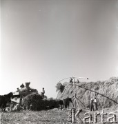 sierpień 1953, Dębno, Polska
Omłoty
Fot. Irena Jarosińska, zbiory Ośrodka KARTA