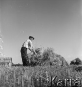 1953, Spółdzielnia Produkcyjna Dębno, okolice Łańcuta, Polska
Wawrzyniec Cebulak przekłada owies
Fot. Irena Jarosińska, zbiory Ośrodka KARTA
