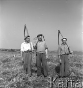 1953, Spółdzielnia Produkcyjna Dębno, okolice Łańcuta, Polska
Członkowie brygady polowej - kosiarze: Szklany, Białowąs, Bartnik
Fot. Irena Jarosińska, zbiory Ośrodka KARTA