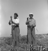 1953, Spółdzielnia Produkcyjna Dębno, okolice Łańcuta, Polska
Członkowie brygady polowej, kosiarze Białowąs, Bartnik ostrzą kosy
Fot. Irena Jarosińska, zbiory Ośrodka KARTA