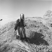 1953, Spółdzielnia Produkcyjna Dębno, okolice Łańcuta, Polska
Przerzucanie plew
Fot. Irena Jarosińska, zbiory Ośrodka KARTA