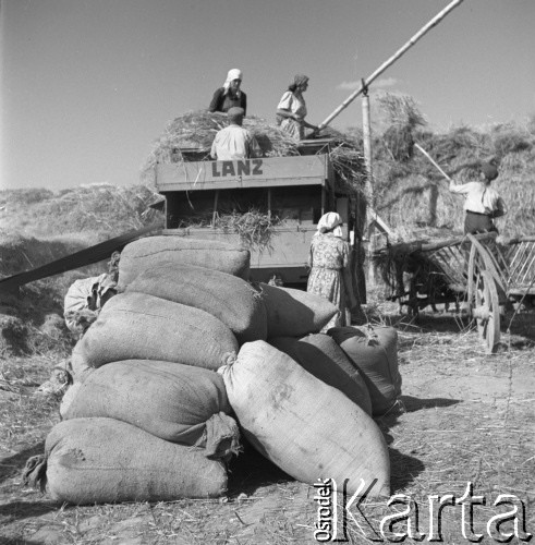 1953, Spółdzielnia Produkcyjna Dębno, okolice Łańcuta, Polska
Omłoty - pakowanie ziarna
Fot. Irena Jarosińska, zbiory Ośrodka KARTA