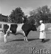 lata 50., Malbork, Polska
