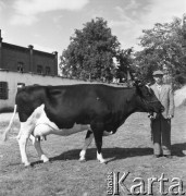 lata 50., Malbork, Polska
