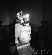 lata 50., Olszewka, Polska
Chlewmistrzyni przygotowuje paszę
Fot. Irena Jarosińska, zbiory Ośrodka KARTA