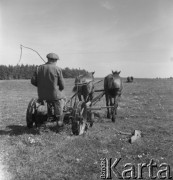 lata 50., Olszewka, Polska
Koszenie chwastów
Fot. Irena Jarosińska, zbiory Ośrodka KARTA