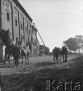 lata 50., Olszewka, Polska
