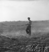 lata 50., Olszewka, Polska
Bronowanie
Fot. Irena Jarosińska, zbiory Ośrodka KARTA