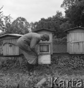 lata 50., Spółdzielnia Produkcyjna w Mrezinie, Polska
