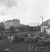 lata 50., Grójec, Polska
Punkt skupu nr 43
Fot. Irena Jarosińska, zbiory Ośrodka KARTA