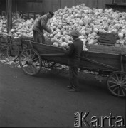 lata 50., Grójec, Polska
Punkt skupu nr 43
Fot. Irena Jarosińska, zbiory Ośrodka KARTA