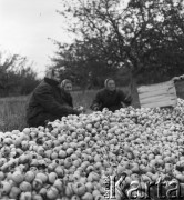 lata 50., Stara Wieś, Polska
