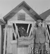 lata 50-te, Stara Wieś, Polska
Zimny wychów cieląt. Oborowy przed domkiem z cielakiem. 
 Fot. Irena Jarosińska, zbiory Ośrodka KARTA