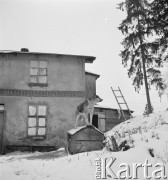 lata 50-te, okolice Starogardu Gdańskiego, Polska
Pies przed budunkiem dawnych czworaków.
Fot. Irena Jarosińska, zbiory Ośrodka KARTA