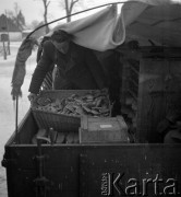 1954, Kokoszkowy, Polska
Rolniczy Zespół Spółdzielni 