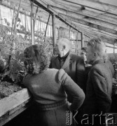1954, Kokoszkowy, Polska
Rolniczy Zespół Spółdzielni 