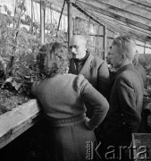 1954, Kokoszkowy, Polska
Rolniczy Zespół Spółdzielni 
