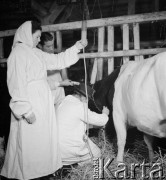 1954, Kokoszkowy, Polska
Rolniczy Zespół Spółdzielni 
