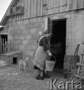1954, Kokoszkowy, Polska
Rolniczy Zespół Spółdzielni 