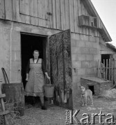 1954, Kokoszkowy, Polska
Rolniczy Zespół Spółdzielni 