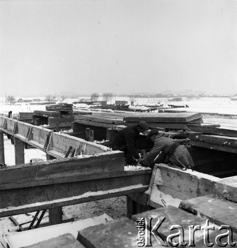 1953, Warszawa, Polska
