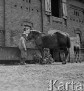 lata 50-te, Olszewska, Polska
Koniuszy poi konia przed stajnią
Fot. Irena Jarosińska, zbiory Ośrodka KARTA