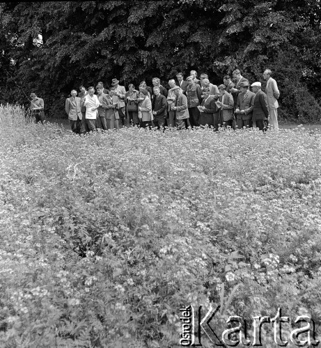 lata 50-te, Poświętne, Polska
Korespondenci Gromady i Rolnika Polskiego oglądają uprawę faceli podczas wizytacji Instytutu Uprawy Nawożenia i Gleboznawstwa. 
Fot. Irena Jarosińska, zbiory Ośrodka KARTA