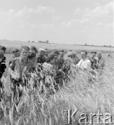 lata 50-te, Poświętne, Polska
Korespondenci Gromady i Rolnika Polskiego oglądają uprawę zboża podczas wizytacji Instytutu Uprawy Nawożenia i Gleboznawstwa. 
Fot. Irena Jarosińska, zbiory Ośrodka KARTA