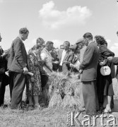 lata 50-te, Poświętne, Polska
Korespondenci Gromady i Rolnika Polskiego oglądają zboże podczas wizytacji Instytutu Uprawy Nawożenia i Gleboznawstwa. 
Fot. Irena Jarosińska, zbiory Ośrodka KARTA