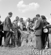 lata 50-te, Poświętne, Polska
Korespondenci Gromady i Rolnika Polskiego oglądają zboże podczas wizytacji Instytutu Uprawy Nawożenia i Gleboznawstwa. 
Fot. Irena Jarosińska, zbiory Ośrodka KARTA