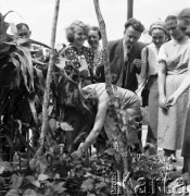 1954, Lublin, Polska
Centralna Wystawa Rolnicza - zwiedzający przyglądają się stonce ziemiaczanej.
Fot. Irena Jarosińska, zbiory Ośrodka KARTA