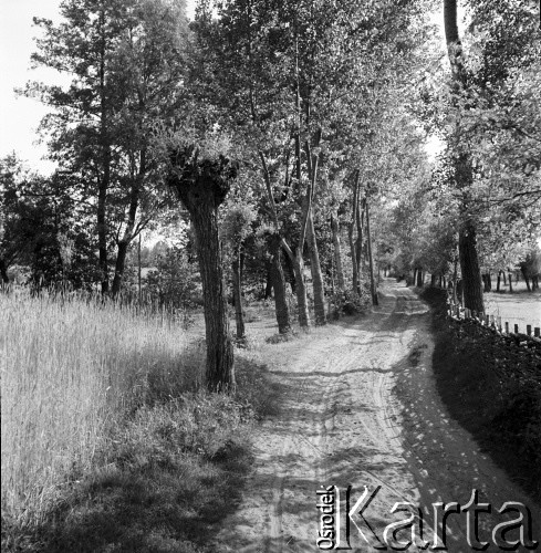 lata 50-te, Zagórze Dolne, Polska 
Droga polna.
Fot. Irena Jarosińska, zbiory Ośrodka KARTA