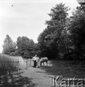 lata 50-te, Zagórze Dolne, Polska 
Mężczyzna z koniami.
Fot. Irena Jarosińska, zbiory Ośrodka KARTA