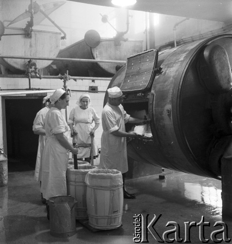lata 50-te, Lublin, Polska
Masłownia - sprawdzanie jakości masła.
Fot. Irena Jarosińska, zbiory Ośrodka KARTA