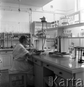lata 50-te, Warszawa, Polska
Zlewnia mleka - laboratorium
Fot. Irena Jarosińska, zbiory Ośrodka KARTA