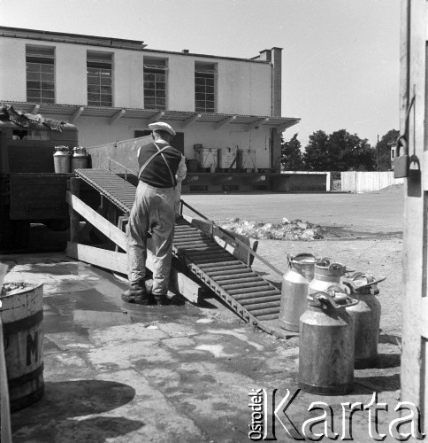 lata 50-te, Warszawa, Polska
Zlewnia mleka - załadunek mleka.
Fot. Irena Jarosińska, zbiory Ośrodka KARTA