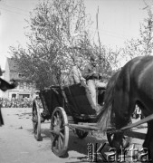 1.05.1954, Starogard Gdański, Polska
Pochód pierwszomajowy - chłopcy na furze przejeżdżają przy trybunie honorowej.
Fot. Irena Jarosińska, zbiory Ośrodka KARTA