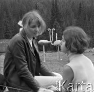 1968, Turbacz, Polska.
Kobiety. W tle rzeźby Bronisława Chromego.
Fot. Irena Jarosińska, zbiory Ośrodka KARTA