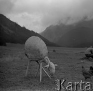 1968, Turbacz, Polska.
Rzeźba Bronisława Chromego.
Fot. Irena Jarosińska, zbiory Ośrodka KARTA