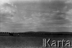 1958, Ponidzie, Polska.
Krajobraz okolic Jędrzejowa.
Fot. Irena Jarosińska, zbiory Fundacji Ośrodka KARTA