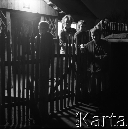 1971, miejsce nieznane, Wielkopolska, Polska.
Stefania Bengsch i jej rodzina w ich gospodarstwie rolnym.
Fot. Irena Jarosińska, zbiory Fundacji Ośrodka KARTA