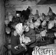 1971, miejsce nieznane, Wielkopolska, Polska.
Stefania Bengsch z synem w kurniku.
Fot. Irena Jarosińska, zbiory Fundacji Ośrodka KARTA