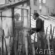 1968, Wrocław, Polska.
Wincenty Pyjek, hodowca kaktusów, n/z na dachu wśród swojej kolekcji.
Fot. Irena Jarosińska, zbiory Ośrodka KARTA