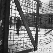 Zima 1958, Iława, Polska.
Centralne Więzienie. Na pierwszym planie brama i ogrodzenie z drutu kolczastego, za nim stoi więzień.
Fot. Irena Jarosińska, zbiory Ośrodka KARTA