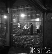 Lata 60., miejsce nieznane, Polska.
Masarnia.
Fot. Irena Jarosińska, zbiory Ośrodka KARTA