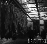 Lata 60., miejsce nieznane, Polska.
Masarnia.
Fot. Irena Jarosińska, zbiory Ośrodka KARTA