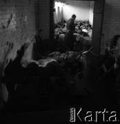 Lata 60., miejsce nieznane, Polska.
Masarnia.
Fot. Irena Jarosińska, zbiory Ośrodka KARTA