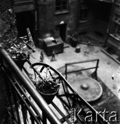 1959, Warszawa, Polska.
Podwórko kamienicy - widok z okna pracowni Ireny Jarosińskiej przy ulicy Świerczewskiego 61 (obecnie Aleja Solidarności).
Fot. Irena Jarosińska, zbiory Fundacji Ośrodka KARTA